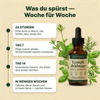 Lymphatic Drop