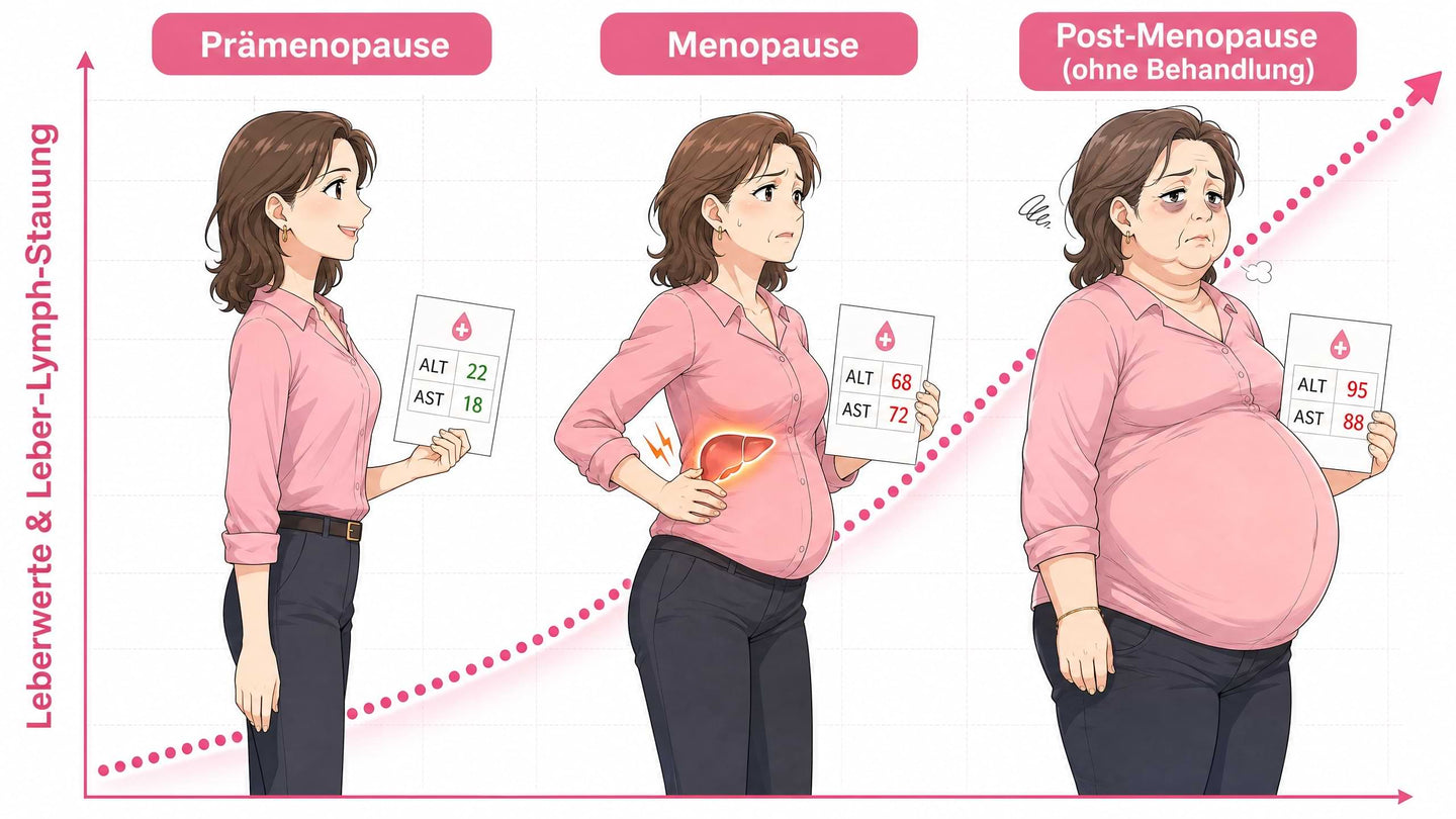 Leber Lymphe Infografik